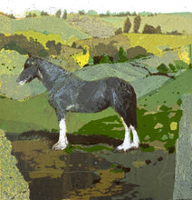 Load image into Gallery viewer, Clydesdale