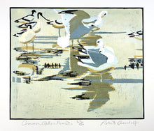 Load image into Gallery viewer, Common Gulls & Avocets
