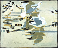 Load image into Gallery viewer, Common Gulls & Avocets
