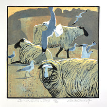 Load image into Gallery viewer, Common Gulls & Sheep
