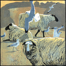 Load image into Gallery viewer, Common Gulls & Sheep