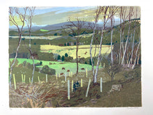 Load image into Gallery viewer, Inshriach