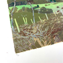 Load image into Gallery viewer, Inshriach