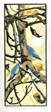 Load image into Gallery viewer, Nuthatches