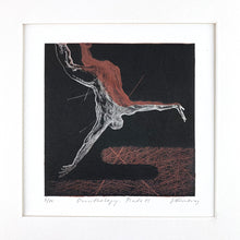 Load image into Gallery viewer, Ornithology Plate VI