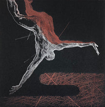 Load image into Gallery viewer, Ornithology Plate VI