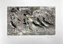 Load image into Gallery viewer, Oystercatcher Study