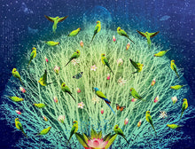 Load image into Gallery viewer, Parrots by Night