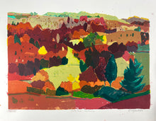 Load image into Gallery viewer, Perthshire Landscape