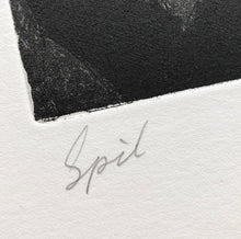 Load image into Gallery viewer, Spil (Cards)