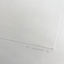 Load image into Gallery viewer, The Loss of Gaelic