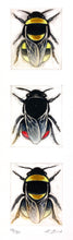 Load image into Gallery viewer, Three Bumblebees