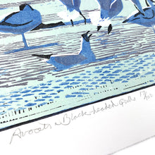 Load image into Gallery viewer, Avocets & Black-headed Gulls