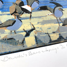 Load image into Gallery viewer, Bewick's Swans & Lapwings