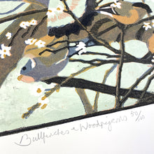 Load image into Gallery viewer, Bullfinches & Woodpigeons