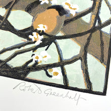 Load image into Gallery viewer, Bullfinches & Woodpigeons