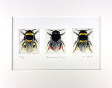 Load image into Gallery viewer, Bumblebee Triptych