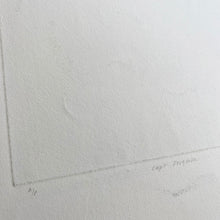 Load image into Gallery viewer, Elegy to Capt. Ferguson