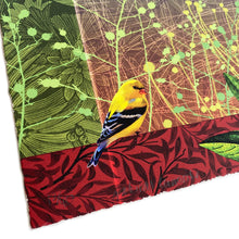 Load image into Gallery viewer, Natural Curiosity