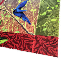 Load image into Gallery viewer, Natural Curiosity