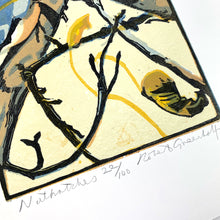 Load image into Gallery viewer, Nuthatches