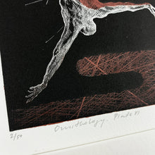 Load image into Gallery viewer, Ornithology Plate VI