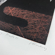 Load image into Gallery viewer, Ornithology Plate VI