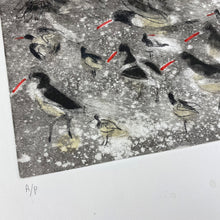 Load image into Gallery viewer, Oystercatcher Study