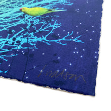 Load image into Gallery viewer, Parrots by Night