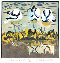 Load image into Gallery viewer, Preening Avocets