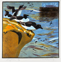 Load image into Gallery viewer, Razorbills