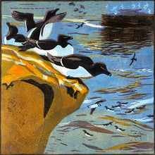 Load image into Gallery viewer, Razorbills