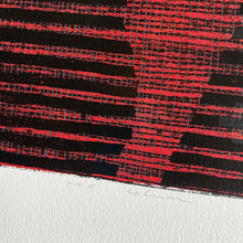 Load image into Gallery viewer, Rex Solum No.12