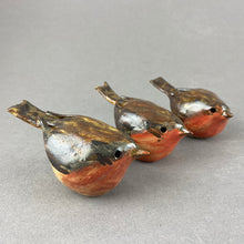 Load image into Gallery viewer, Robin