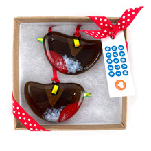 Load image into Gallery viewer, Set of Baby Robins in Gift Box
