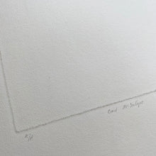 Load image into Gallery viewer, The Author of this is Bard MacIntyre