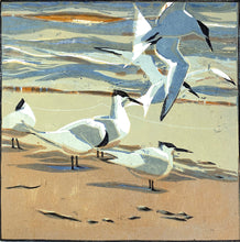 Load image into Gallery viewer, Tideline Terns