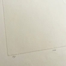 Load image into Gallery viewer, Trio