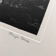 Load image into Gallery viewer, A Witness to the Light