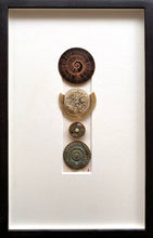 Load image into Gallery viewer, Medallion
