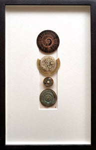 Medallion