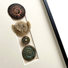 Load image into Gallery viewer, Medallion
