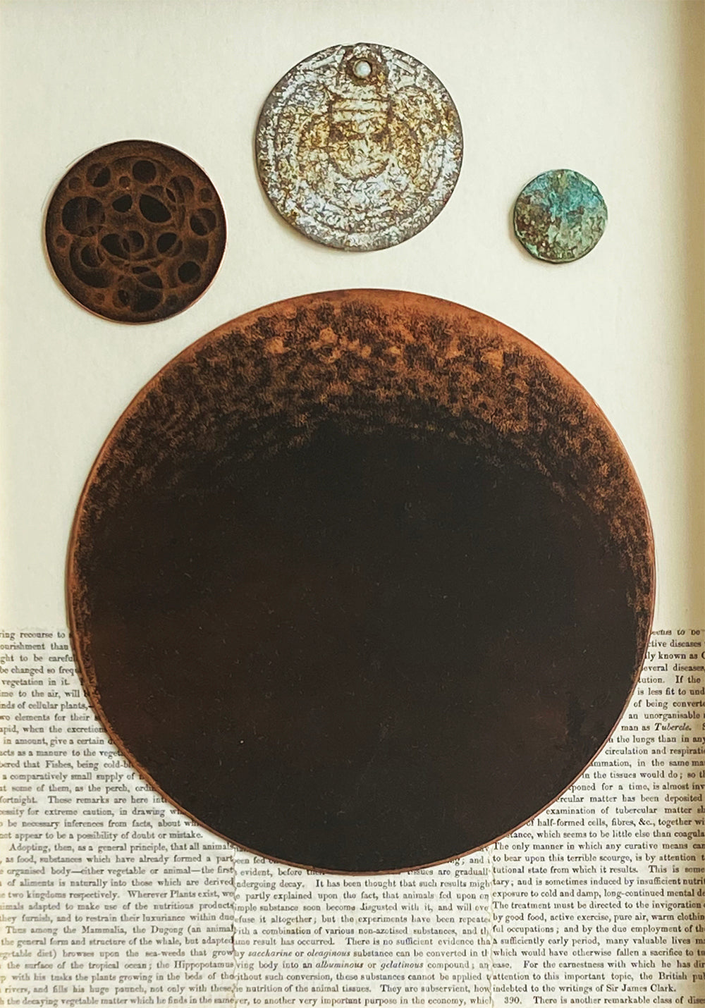 Turtle Moon