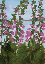 Load image into Gallery viewer, Loch Broom Foxgloves

