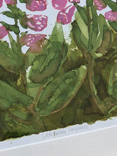 Load image into Gallery viewer, Loch Broom Foxgloves
