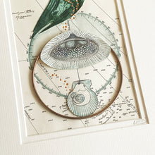 Load image into Gallery viewer, Atlantic Voyage IV
