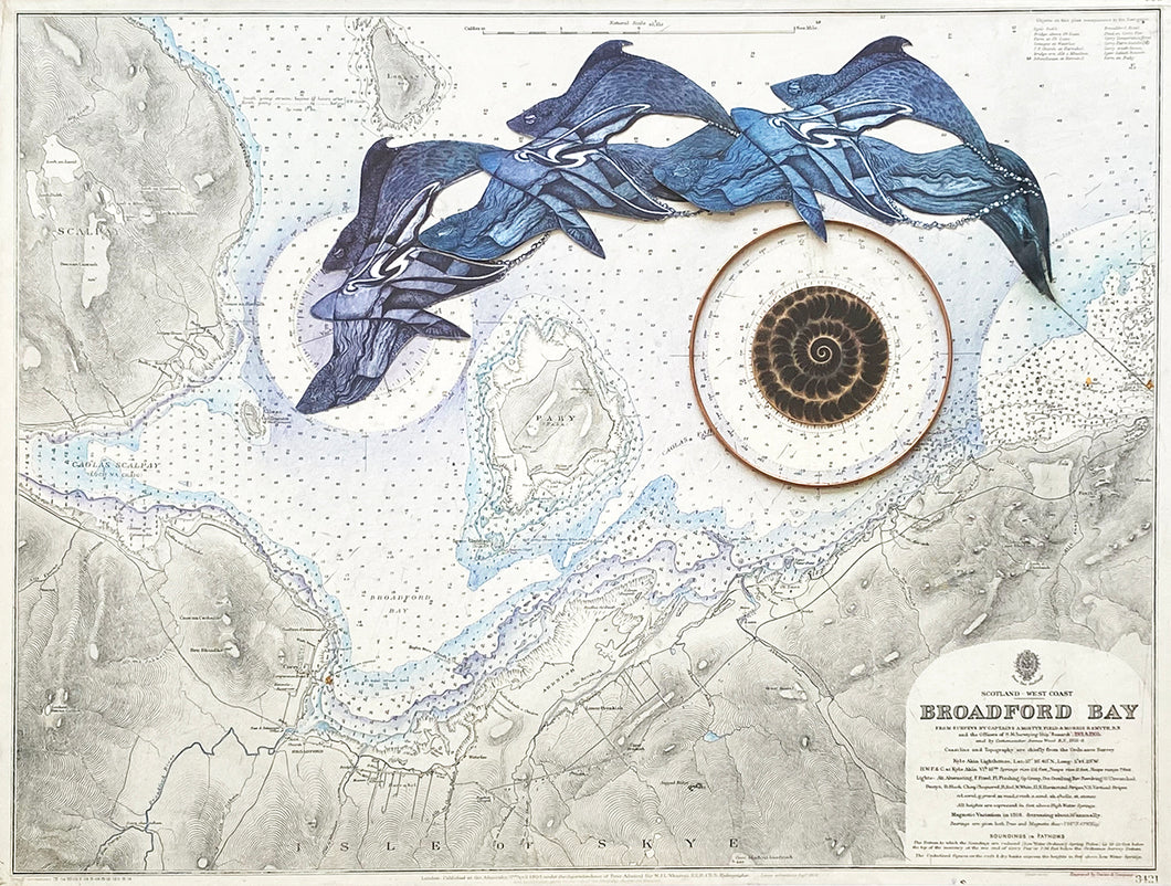 Broadford Mermen