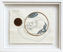 Load image into Gallery viewer, Middleton Reef

