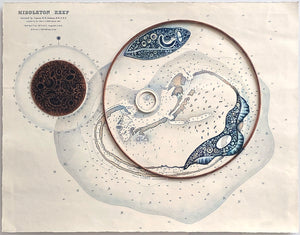 Middleton Reef