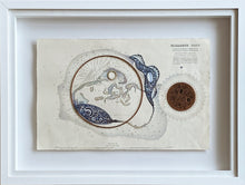 Load image into Gallery viewer, Elizabeth Reef
